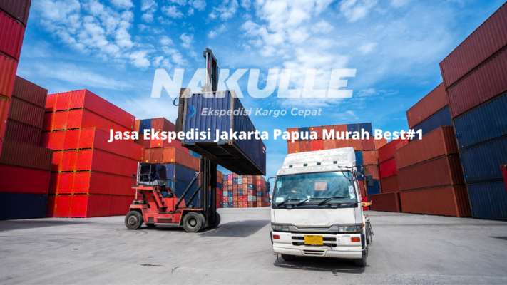 Jasa Ekspedisi Jakarta Papua